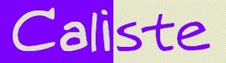 logo caliste management risques
