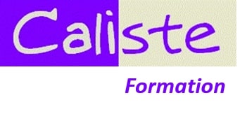logo caliste formation management risques